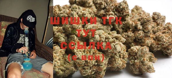спиды Каменка