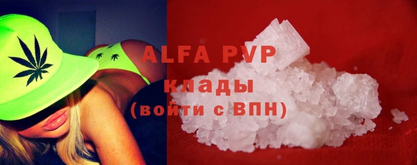 спиды Каменка