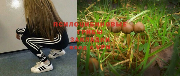 соль курить ск Каменногорск