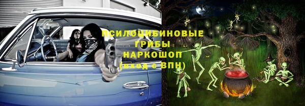 спиды Каменка