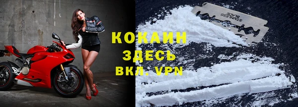 спиды Каменка