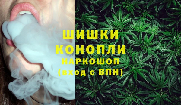 спиды Каменка