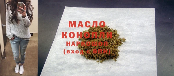 спиды Каменка