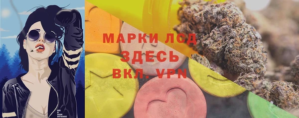 спиды Каменка